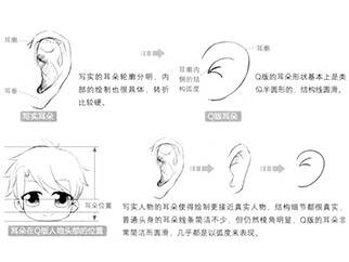 【图文教程】耳朵的画法